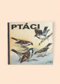 Ptáci