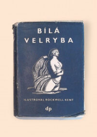 Bílá velryba