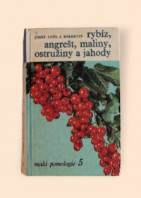 Rybíz, angrešt, maliny, ostružiny a jahody