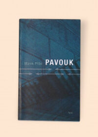 Pavouk