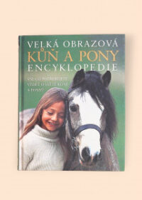 Kůň a pony