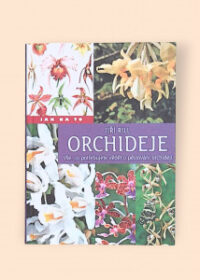 Orchideje