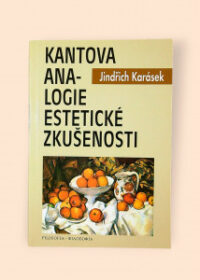 Kantova analogie estetické zkušenosti