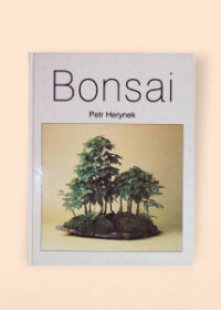 Bonsai