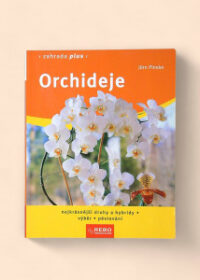 Orchideje