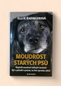 Moudrost starých psů