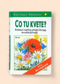 Co tu kvete?