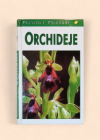 Orchideje