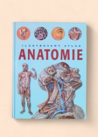 Ilustrovaný atlas anatomie