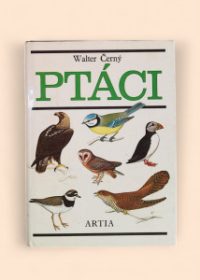 Ptáci