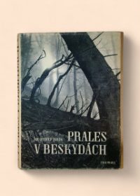 Prales v Beskydách