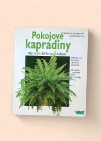 Pokojové kapradiny