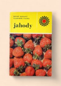 Jahody