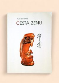 Cesta zenu