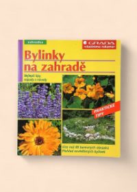 Bylinky na zahradě