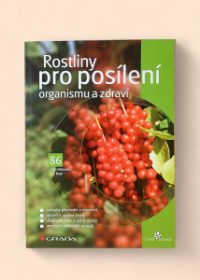 Rostliny pro posílení organismu a zdraví