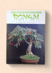 Pokojová bonsai