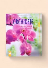 Orchideje