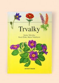 Trvalky