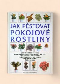 Jak pěstovat pokojové rostliny