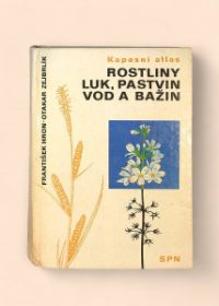 Rostliny luk, pastvin, vod a bažin