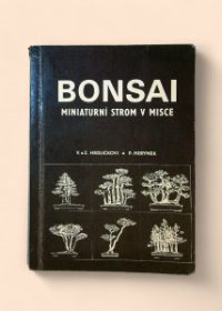 Bonsai - miniaturní strom v misce