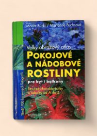 Pokojové a nádobové rostliny pro byt i balkony