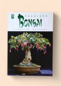 Pokojová bonsai