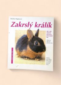 Zakrslý králík - jak o něj správně pečovat a porozumět mu