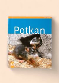 Potkan