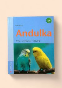 Andulka - živá, zvědavá. chytrá