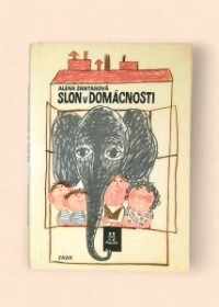 Slon v domácnosti