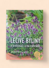 Léčivé byliny v květináči a na zahradě