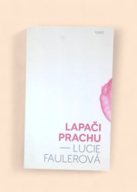 Lapači prachu