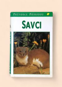 Savci