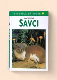 Savci