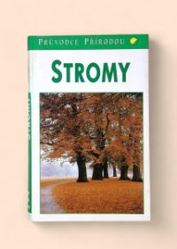 Stromy