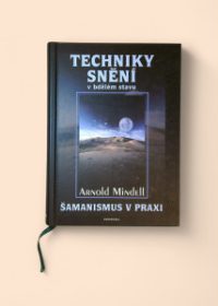 Techniky snění v bdělém stavu, šamanismus v praxi