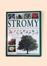 Stromy