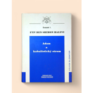 Adam a kabalistický strom