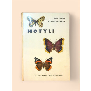 Motýli