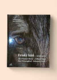 Fríský kůň - černá perla