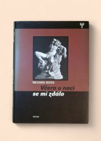 Včera v noci se mi zdálo