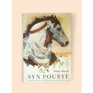 Syn pouště