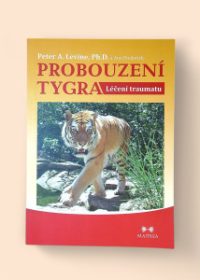 Probouzení tygra