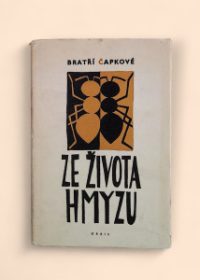 Ze života hmyzu
