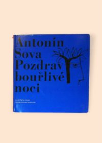 Pozdrav bouřlivé noci