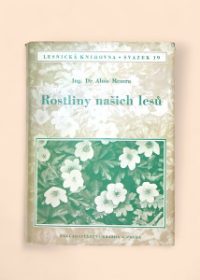 Rostliny našich lesů