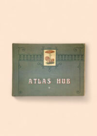 Atlas hub