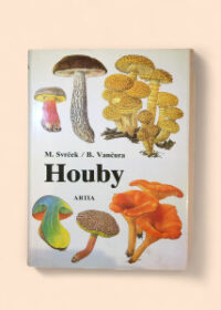 Houby